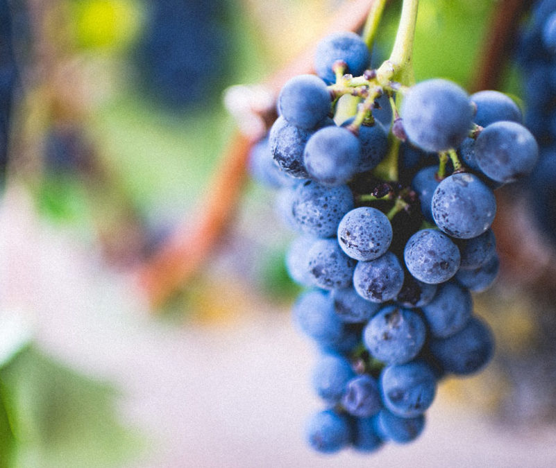 Weekend ouverture La Fontaine Arts et Vins (4, 5 et 6 octobre)