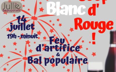 Vendredi 14 juillet : Feu d’artifice, foodtruck & bal populaire !