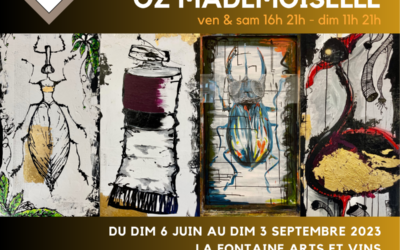 Du 6 juin au 3 septembre : Exposition de Oz Mademoiselle